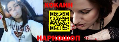 Альфа ПВП Кандалакша
