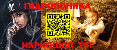 Альфа ПВП Кандалакша