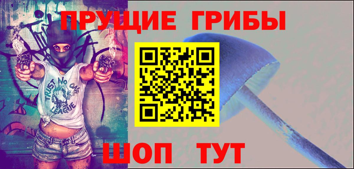 Псилоцибиновые грибы мухоморы Ленинск-Кузнецкий